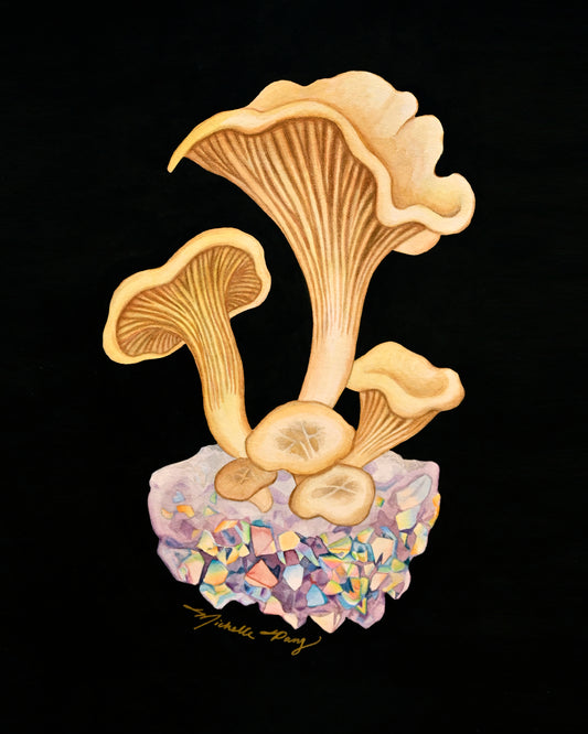 Mushrooms on Crystal Unframed Art Print