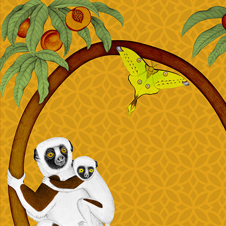 Endangered Lemurs of Madagascar Honey Fine Art Unframed Print