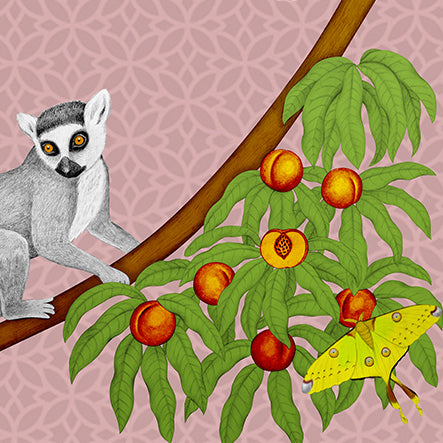 Endangered Lemurs of Madagascar Rose Fine Art Unframed Print