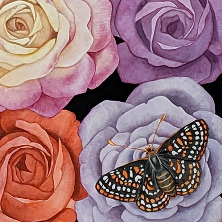 Endangered Checkerspot Butterflies and Roses Watercolor Illustration Fine Art Print