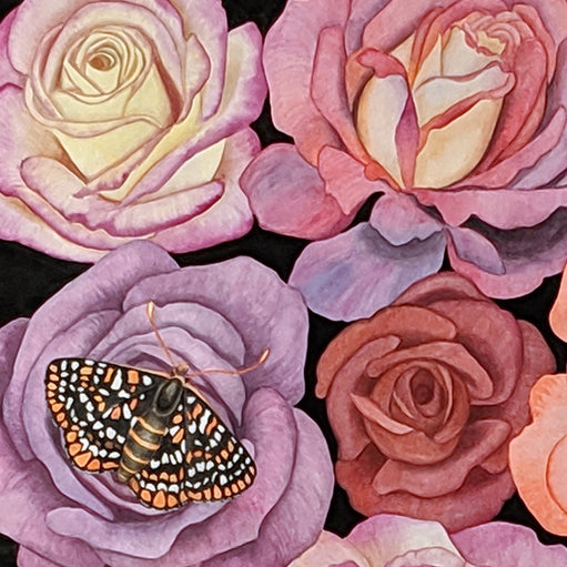 Endangered Checkerspot Butterflies and Roses Watercolor Illustration Fine Art Print