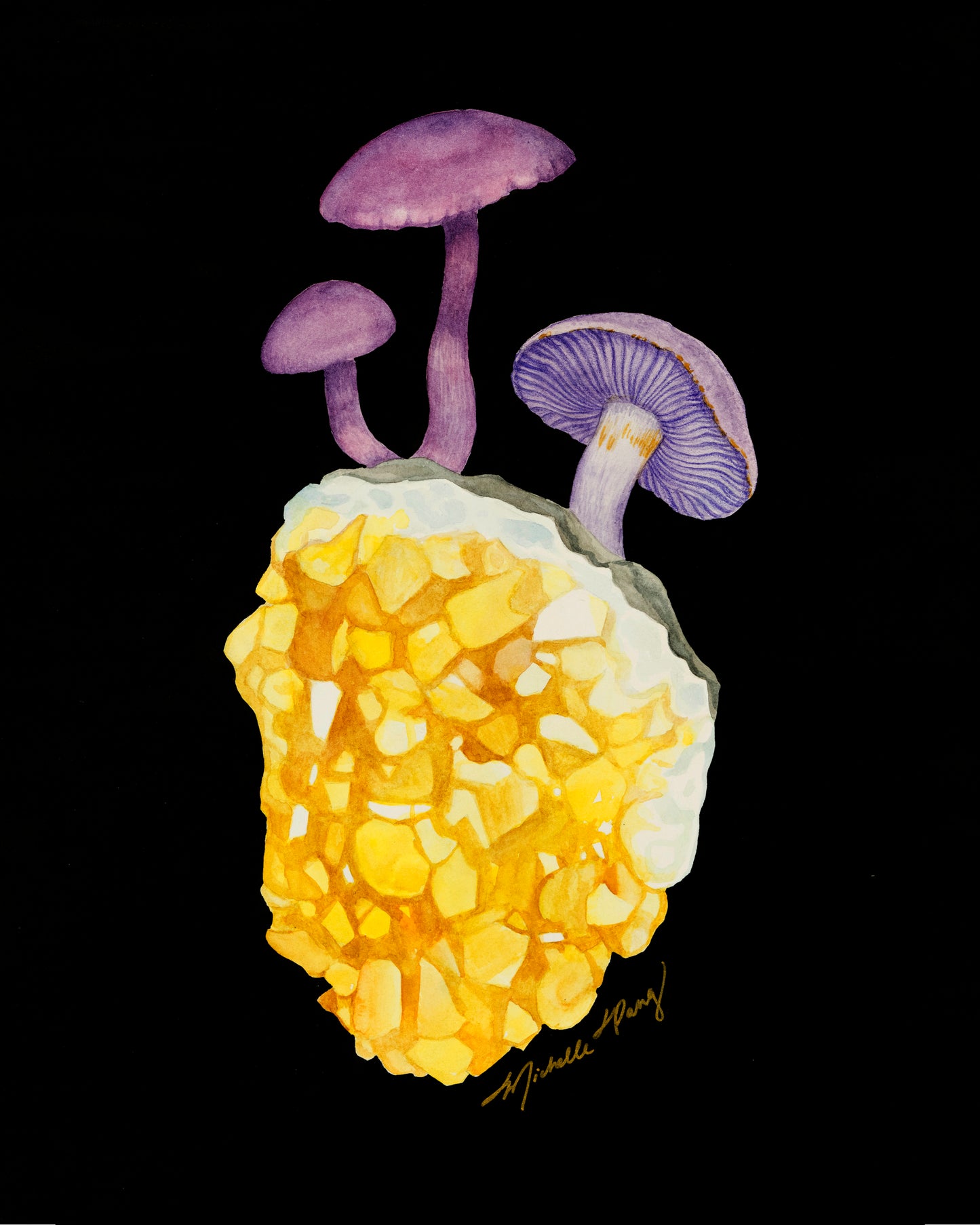 Mushrooms on Crystal Unframed Art Print